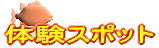 体験スポット